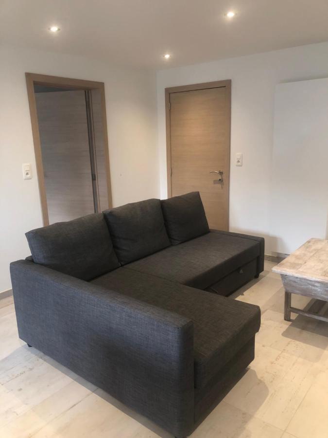 Pegasus I - 2 Chambres De Luxe, Cuisine, Salon, 2 Terrasses Et Sauna Vielsalm Ngoại thất bức ảnh